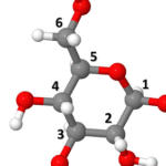 Molecular understanding of the possible mechanisms of<br>oligosaccharide oxidation by cold plasma